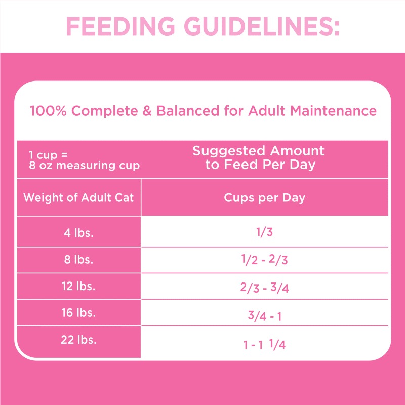 Proactive Health Adult Sensitive Digestion & Skin Dry Cat Food