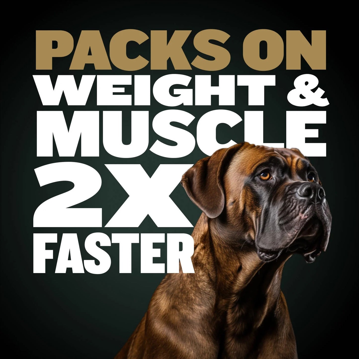 Bully Max Pro 2X High Calorie & High Protein Dry Dog Food for Puppy & Adult Dogs - Weight Gain & Muscle Building - 600 Calories/Cup