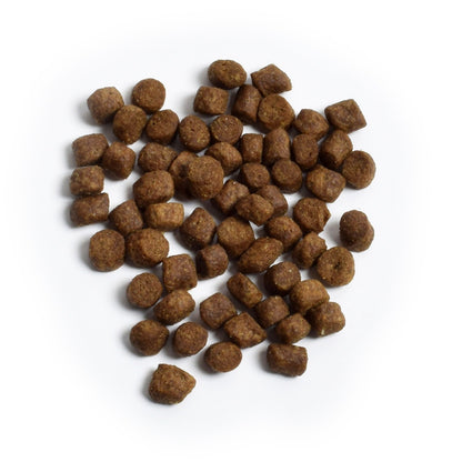 Homestead Turkey & Chicken Grain-Free Dry Dog Food