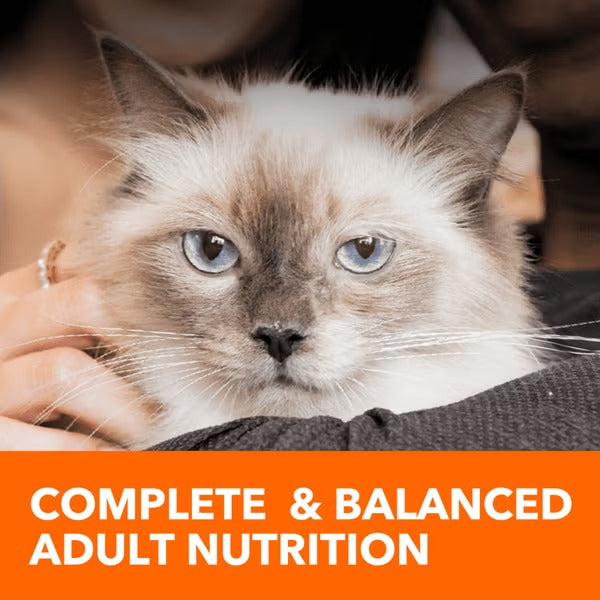 Proactive Health Adult Sensitive Digestion & Skin Dry Cat Food