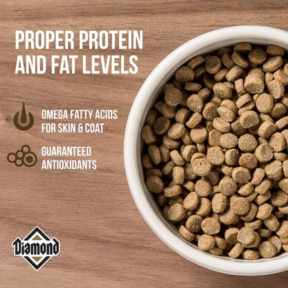 Diamond Maintenance Dry, wet Cat and DogFood