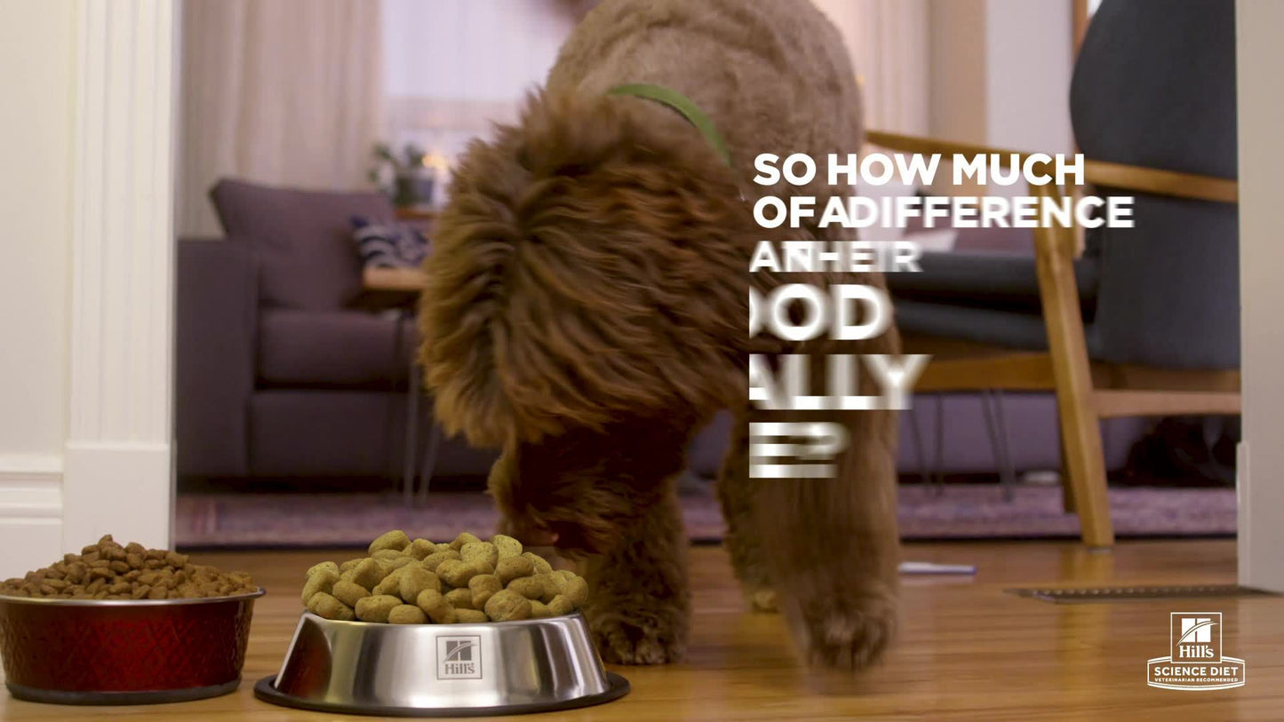 Hill's® Science Diet® Oral Care Adult Dry Dog Food - Chicken, Brown Rice & Barley