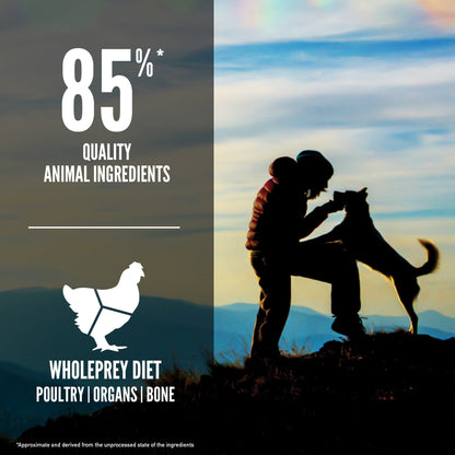 ORIJEN Original Grain-Free Dry Dog Food