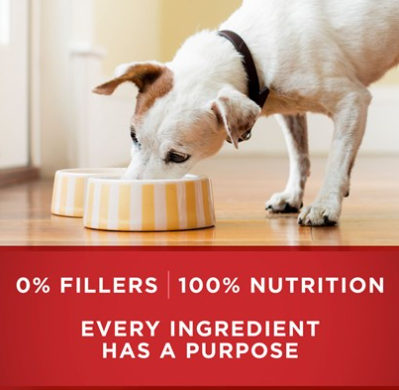 Purina One Wholesome Beef and Brown Rice Entree Canned Dog Food