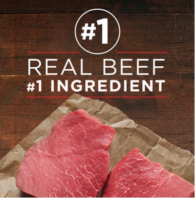 Purina One Wholesome Beef and Brown Rice Entree Canned Dog Food